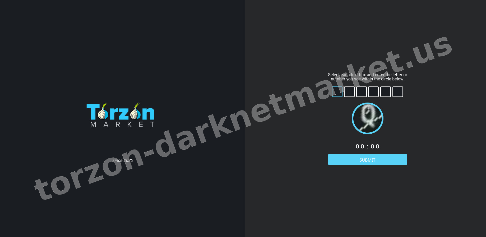 DDoS Protection Screen